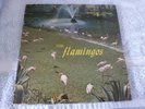 THE FLAMINGOS  FLAMINGOS LP 1959 CHECKER LP 1433  MONO 1ST PRESS ORIGINAL  LP