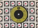 Punk 45 - RADIO BIRDMAN What gives / Anglo girl desire Sire 6078 617 rare 1978