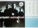 DEL AMITRI : WAKING HOURS LP AMA 9006 1990 RARE   NOTHING EVER HAPPENS LABEL