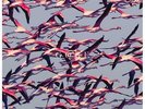 Deftones - Gore - New Sealed Vinyl LP