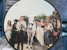 Lana Del Rey Rare Spotify Picture Disc Chemtrails Over The Country Club Vinyl