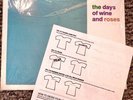 SHRINK  THE DREAM SYNDICATE LP DAYS OF WINE AND ROSES 1982 NM  W/ Slash INSERT