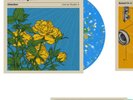 The Starting Line Direction Live At Studio 4 SUNSHINE SWIRL SPLATTER Vinyl LP
