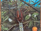 DRAGONFLY LP S/T Psych Bonehead Hard Rock Megaphone Orig. 1968 Rare VG+