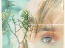 Melissa Etheridge Breakdown - Brand NEW Rare vinyl record LP OOP SEALED