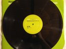 MICHAEL JACKSON BLOOD ON THE DANCE FLOOR Teddy Riley Mixes VINYL 12