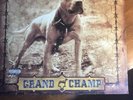 DMX GRAND CHAMP 2X LP VINYL RECORD WAX NEVER PLAYED 2003