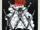 MORBID ANGEL . The Kingdom Come 7