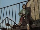 Harry J All Stars - Liquidator