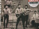 Demolicion by Los Saicos (Record, 2013)