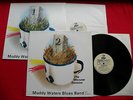 MUDDY WATERS warsaw session live in 1976 MINT COMPLETE 2LP Poljazz Record Club