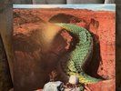 The Glitch Mob - We Can Make the World Stop - Vinyl