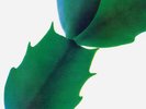 Hiroshi Yoshimura Green Light In The Attic LP, Reissue