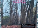 Twink - Think Pink 50th Anniversary Edition Vinyl Record LP Psych FREE SHIPPING