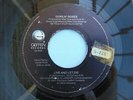 GUNS N' ROSES MEXICAN PROMO SINGLE LIVE AND LET DIE FROM USE YOUR ILLUSION LP