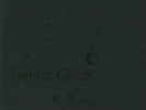 SHE PAST AWAY - Belirdi Gece - Vinyl (LP)