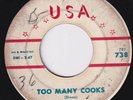 JESSIE FORTUNE Too Many Cooks R&B 45 blues w/ BUDDY GUY & Big Walter Horton HEAR