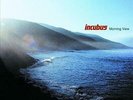 Incubus - Morning View (NEW 2 VINYL LP)