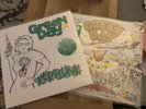 Green Day Dookie and Kerplunk Vinyls NEW