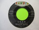 THE BEACH BOYS SURFIN / LUAU 45 7