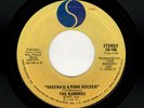 PUNK-RAMONES-SHEENA IS A PUNK ROCKER/I DON'T CARE-SIRE 746