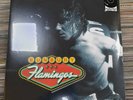 BUNBURY ' FLAMINGOS ' LP  DOUBLE LIMITED EDITION  + CD     2021