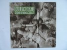 Dub Syndicate 12