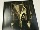 Wolves in the Throne Room - 