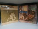 Down And Out Blues Sonny Boy Williamson 2 Vinyl Records ID890