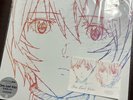 Hikaru Utada One last kiss LP record Neon Genesis Evangelion Rei Ayanami Sony