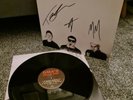 DMA'S *Signed* Hills End Vinyl Near Mint Condition