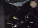 C.C. Catch ?- Catch The Catch LP (Hansa ?207 707) 1986 NEAR MINT-