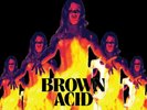 Brown Acid The Twelfth Trip LP Colored Vinyl Riding Easy Heavy Rock Compilation