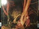 ECHO AND THE BUNNYMEN Crocodiles  VG++ Vinyl