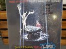 Panic at the Disco ALL MY FRIENDS WE'RE GLORIOUS Death of a Bachelor LIVE Vinyl