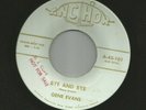 ROCKABILLY - GENE EVANS - SLIPPIN' AND SLIDIN' - NORM PETTY - HEAR 1964 ANCHOR