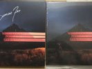 SIGNED Sleeve Dominic Fike What Could Possibly Go Wrong WCPGW Black Vinyl LP