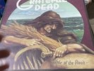 GRATEFUL DEAD: Wake of the Flood US Blank Back Orig Rock Vinyl LP