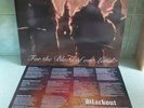 Blackout For The Blood Of Our Land Vinyl ISD Skinhead