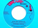 Akwaaba People - What Am I Gonna Do /Need Somebody ( Rare Modern Soul ) FREE P&P