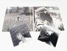 Set of 4 Taylor Swift Vinyl's - Folklore In The Weeds and More NEW SEALED