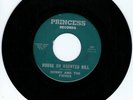 Kenny and the Fiends 45 House on Haunted Hill PRINCESS VG+ spooky surf rocker 81
