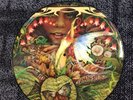 Spyro Gyra Picture Disc Vinyl 