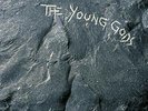 THE YOUNG GODS  - THE YOUNG GODS