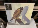 Iceage You're Nothing LP + download Matador 2013 [2nd album punk] SEALED NEW