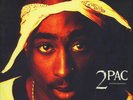 2Pac ?- Rap & Revolution - Instrumentals 2 x LP Vinyl Record BEATS ALBUM Tupac *