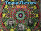 Young Flowers-On Air Danish psych 2 lps reissue brand new Long Hair