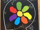 JAMES All The Colours of You  Split coloured Vinyl 2LP + Hand Signed Print