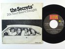 Power Pop 45 SECRETS It's Your Heart Tonight/Get Your Radio on Titan NM