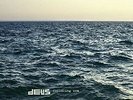 dEUS - Following Sea [New Vinyl LP]